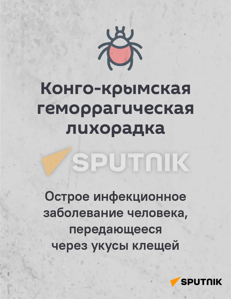 Возбудитель крымской геморрагической лихорадки. Возбудитель крымской геморрагической лихорадки. Возбудитель крымской геморрагической лихорадки. Вирус крымской геморрагической лихорадки строение. Конго крымская лихорадка патогенез.