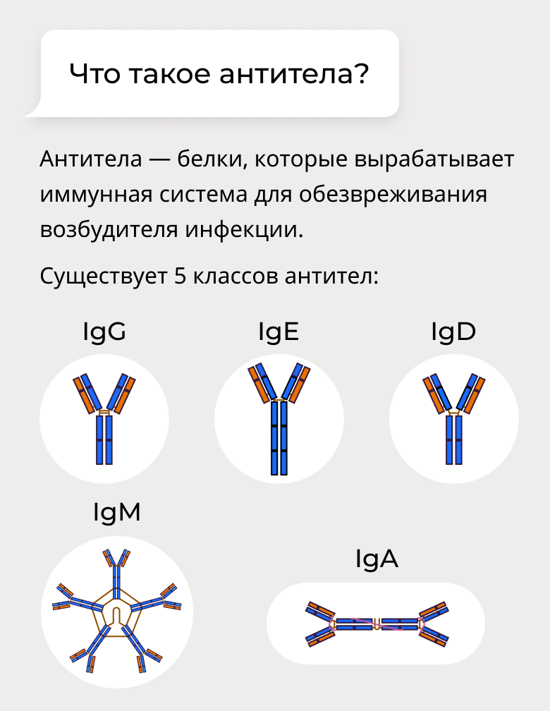 Другие направления